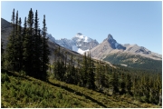 06 - Icefields Parkway (9)